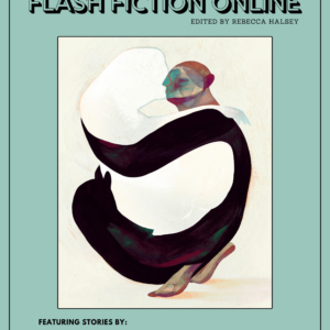 Flash Fiction Online February 2026
